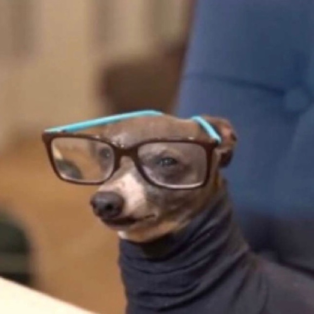 Meet your Posher, Lesly